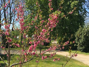 Property grounds - Charming cottage renovated to nine, near Locronan and Beaches at 4km, 3 Stars * (Plonévez-Porzay)