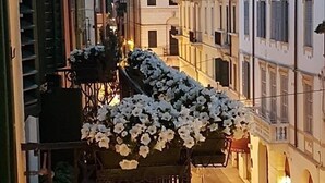 Una calle estrecha flanqueada por edificios, con balcones adornados con flores blancas y plantas en macetas.