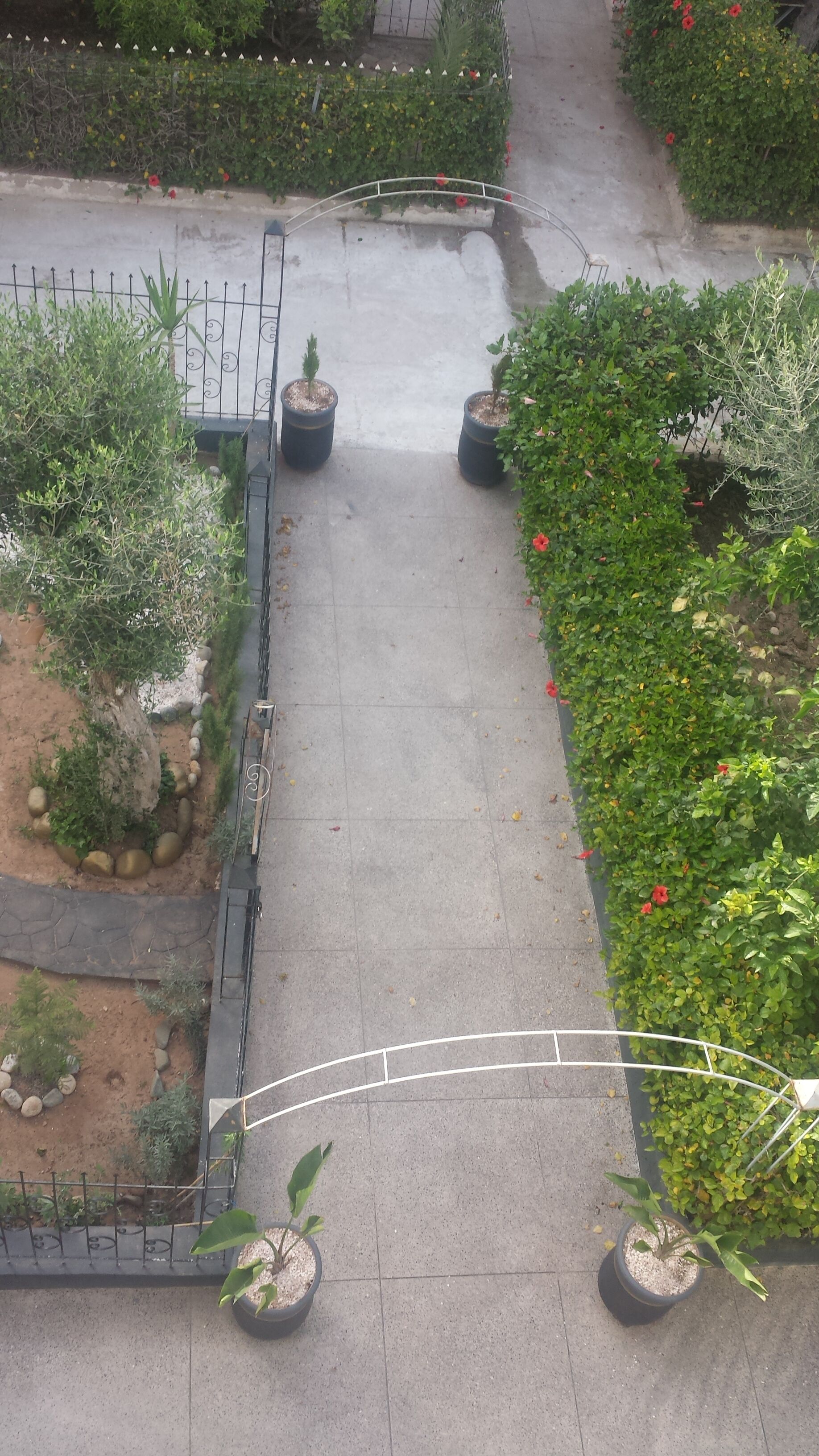 Un chemin menant à une zone délimitée par une grille, agrémentée de plantes en pot et d’une variété de verdure.