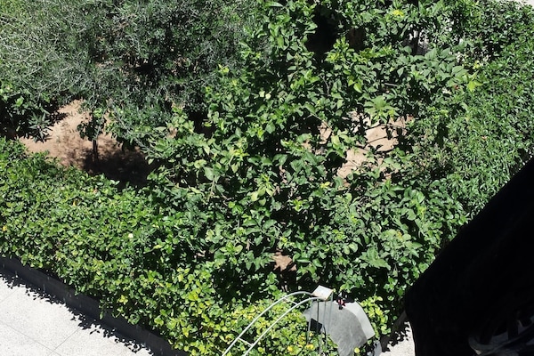 Enceinte de lâhĂ©bergement