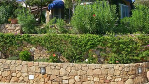 Pool - COSTA SMERALDA BEAUTIFUL VILLA WITH POOL 150 MT FROM THE SEA SURROUNDED BY GREENERY (BAIA SARDINIA/ARZACHENA)