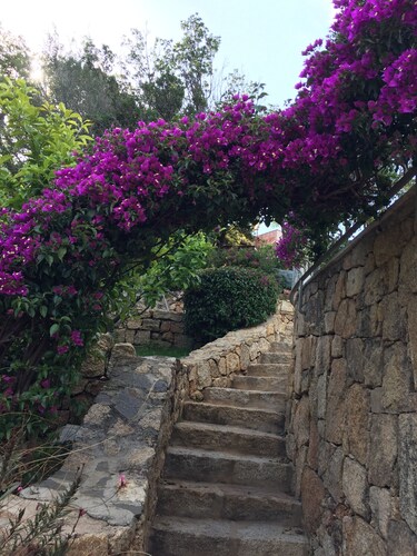 COSTA SMERALDA BEAUTIFUL VILLA WITH POOL 150 MT FROM THE SEA SURROUNDED BY GREENERY