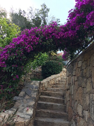 COSTA SMERALDA BEAUTIFUL VILLA WITH POOL 150 MT FROM THE SEA SURROUNDED BY GREENERY