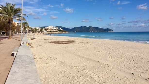 A beach with a clear sky, palm trees, and a mountain in the background. - Arrive near the beach & feel good. (Sant Llorenç des Cardassar)