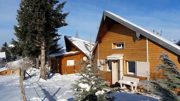 Une cabane en bois avec un toit en pente, une petite fenêtre et une porte.