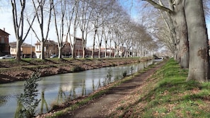 Une promenade au bord de la rivière, bordée d’arbres et d’immeubles.