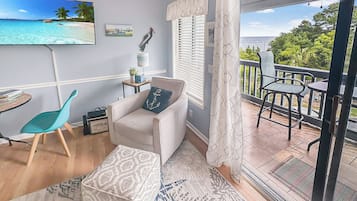 Smart TV, books, music library, video library