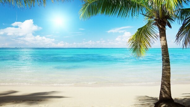 Une plage à l’eau turquoise et limpide, un palmier et un soleil éclatant.