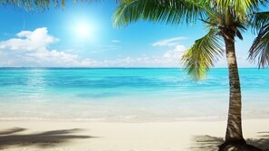 En strand med krystalklart turkis vand, en palme og en klar sol.