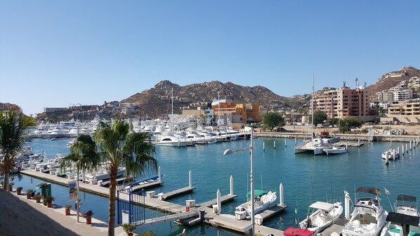 Marina - Cabo San Lucas Marina Studio Suite - Great Location & Views! (Cabo San Lucas)