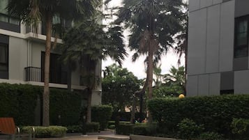 Outdoor pool, pool umbrellas, sun loungers