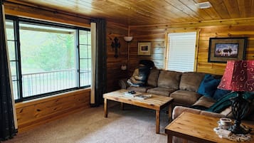 Smart TV, DVD player, books, video library