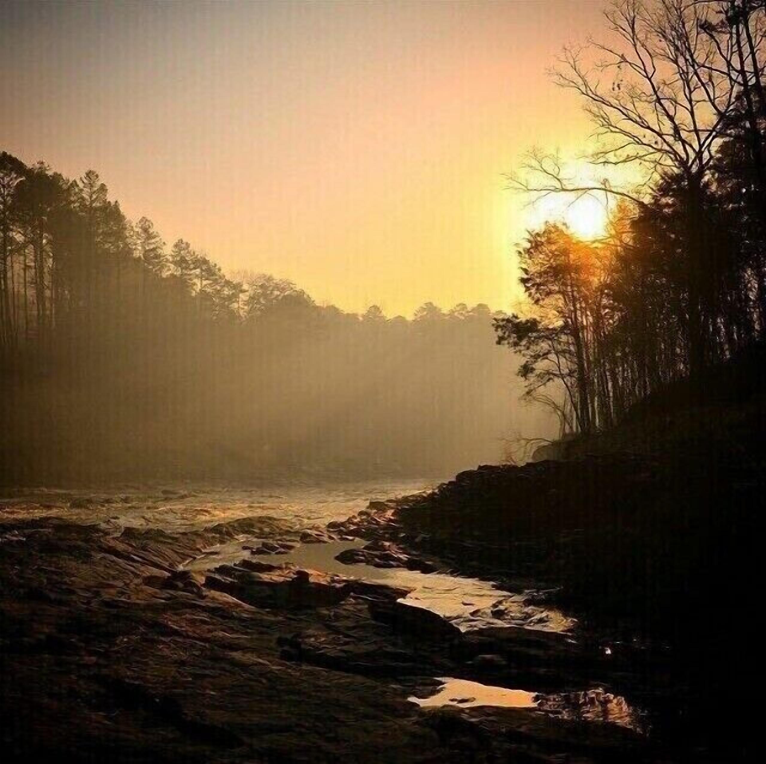 A river flowing through a forested area with a sunrise or sunset in the background.