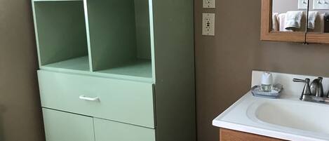 A bathroom with a green cabinet, a white sink, a mirror, and a trash bin.