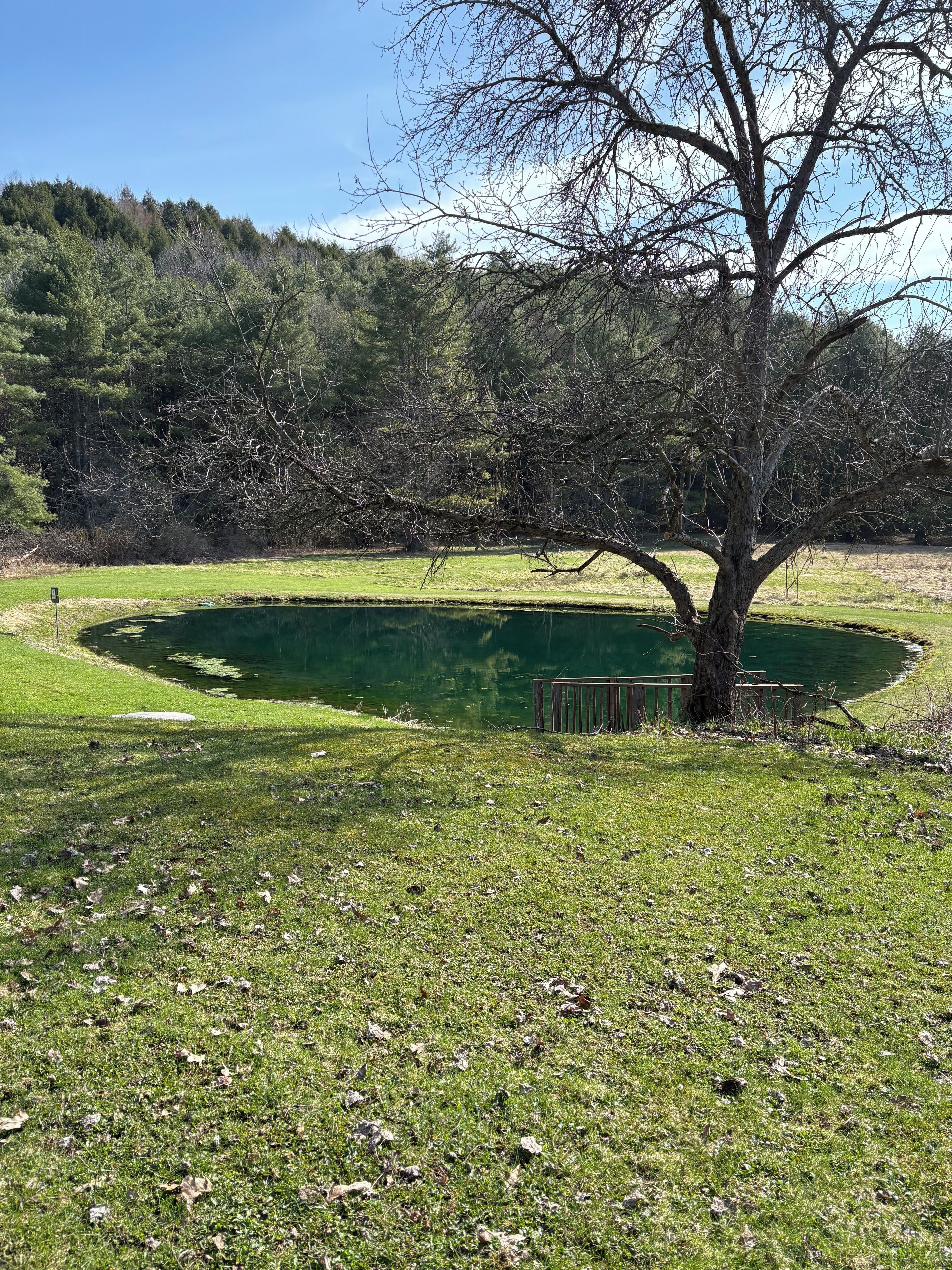 Área da propriedade