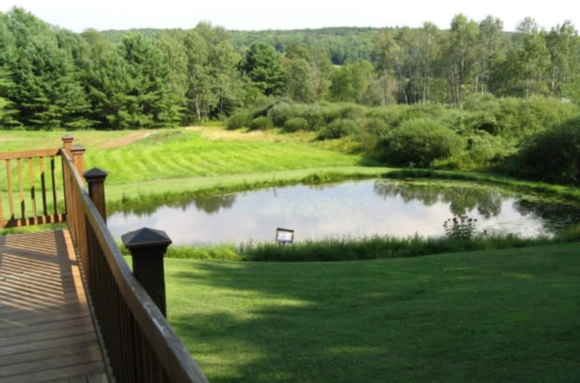 Área da propriedade