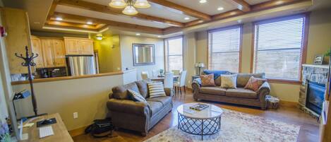 Smart TV, chimenea, reproductor de DVD y libros