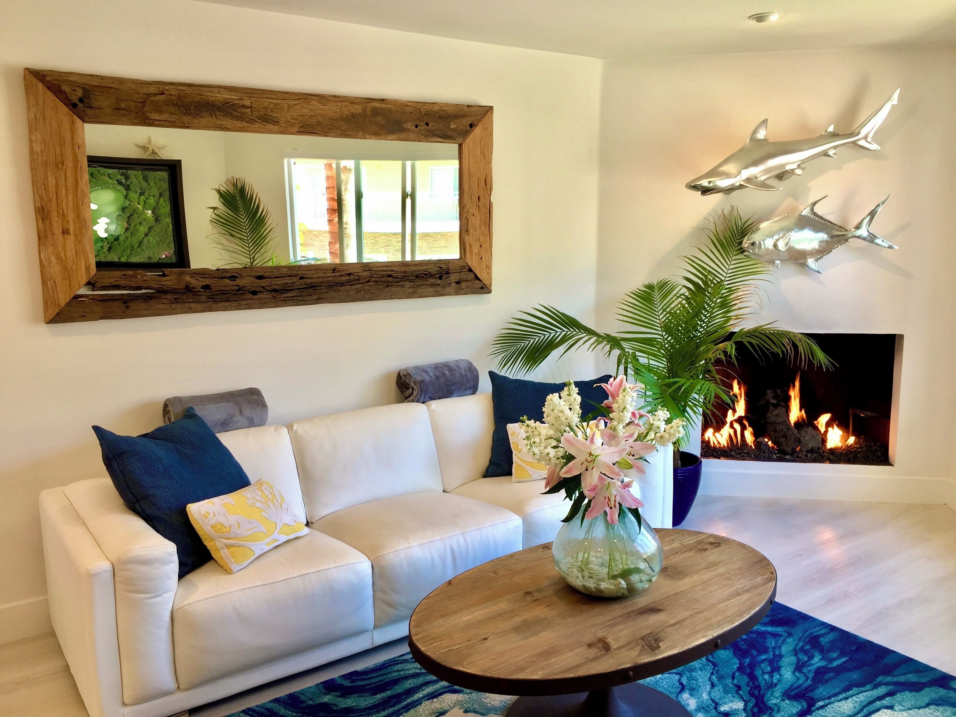 智能电视、壁炉、音乐库