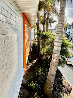 Property grounds - Short Walk To Everything - Peek-a-Boo Ocean View - BBQ (San Clemente)