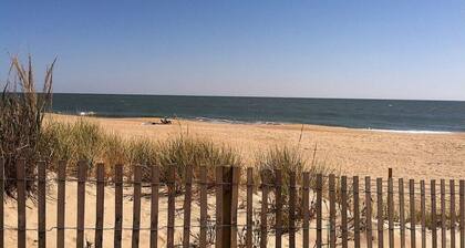 Remontoitu: puistonäkymä, kauniit auringonlaskut, konsertit ja ilotulitus!