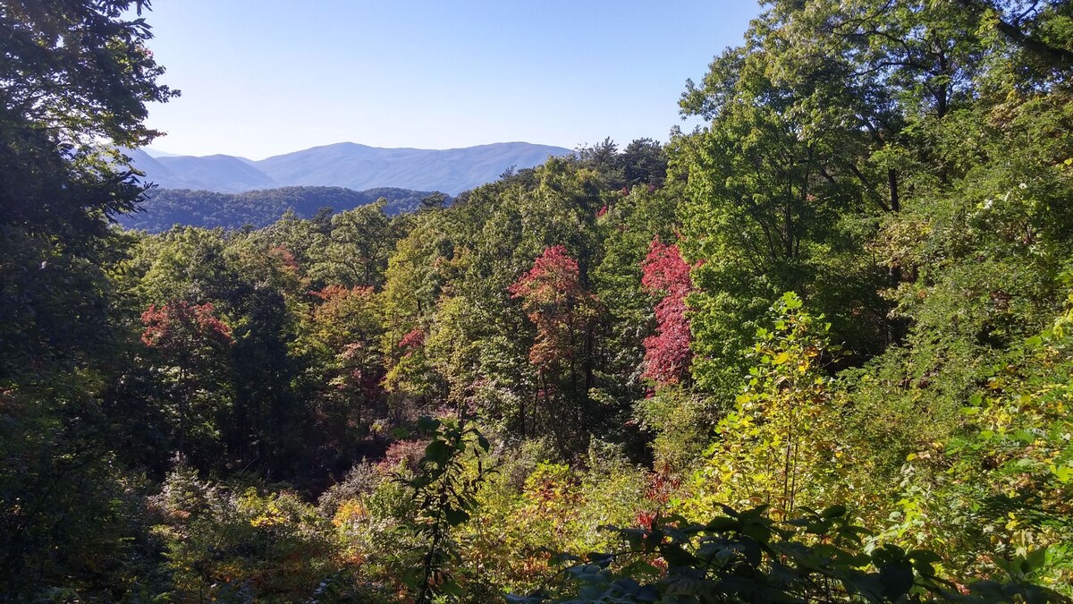 Photo 81 of ENJOY "THE VIEW" 5 ⭐️STAR ELEGANT, PET FRIENDLY, 3 KING BEDS & GORGEOUS SCENERY
