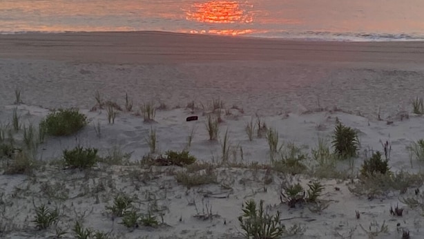 Un atardecer sobre una playa, con el sol reflejándose en el agua.