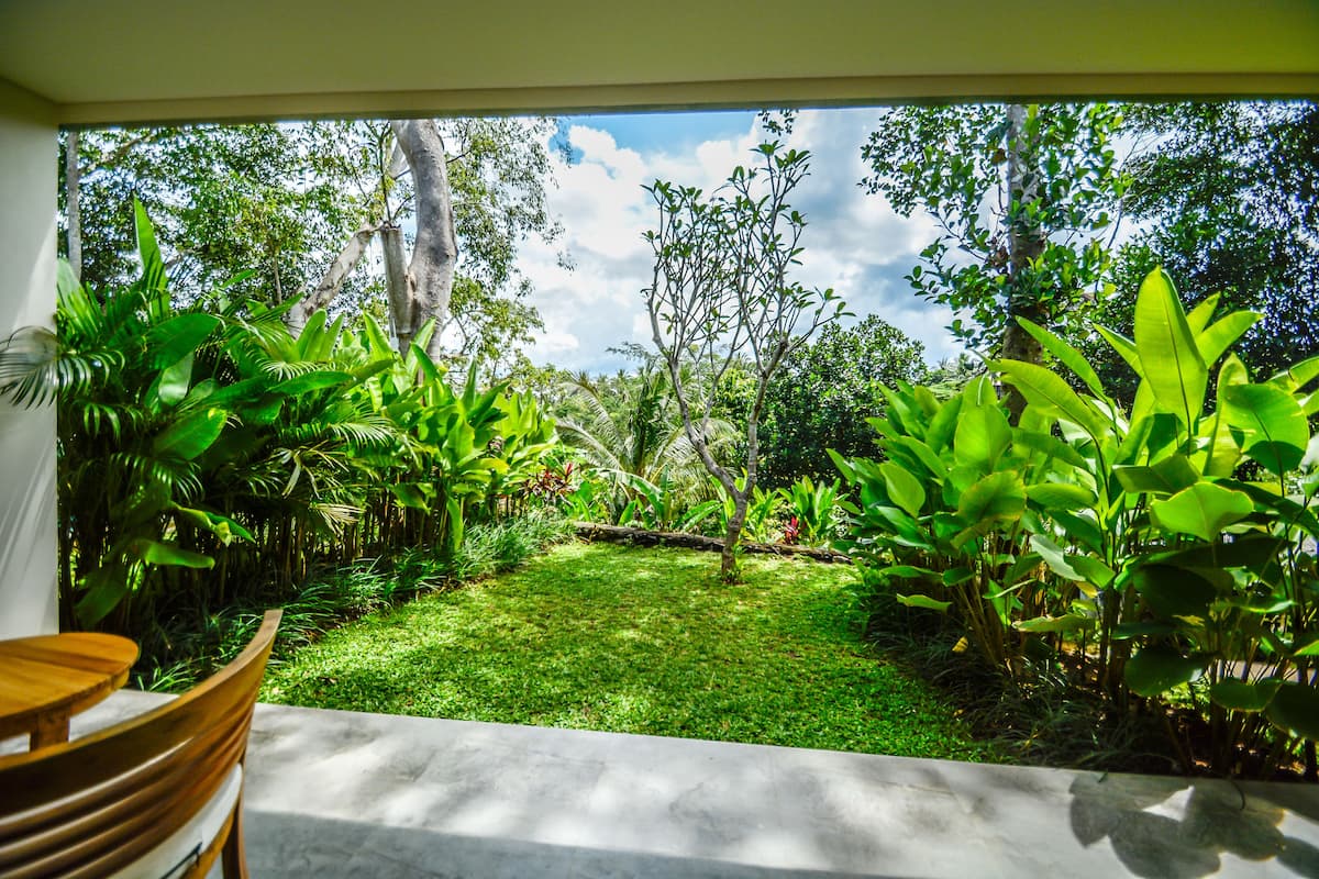 Un patio con piso de concreto y una silla de madera, rodeado de exuberante follaje y árboles.