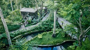 Ein üppiger Garten mit einer Holzterrasse, einem kleinen Pavillon und einem Teich.