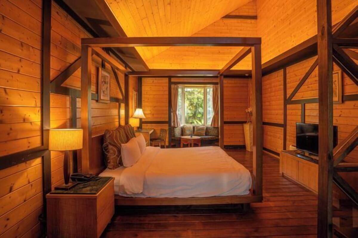 Roupas de cama premium, edredons de pluma, cortinas blackout