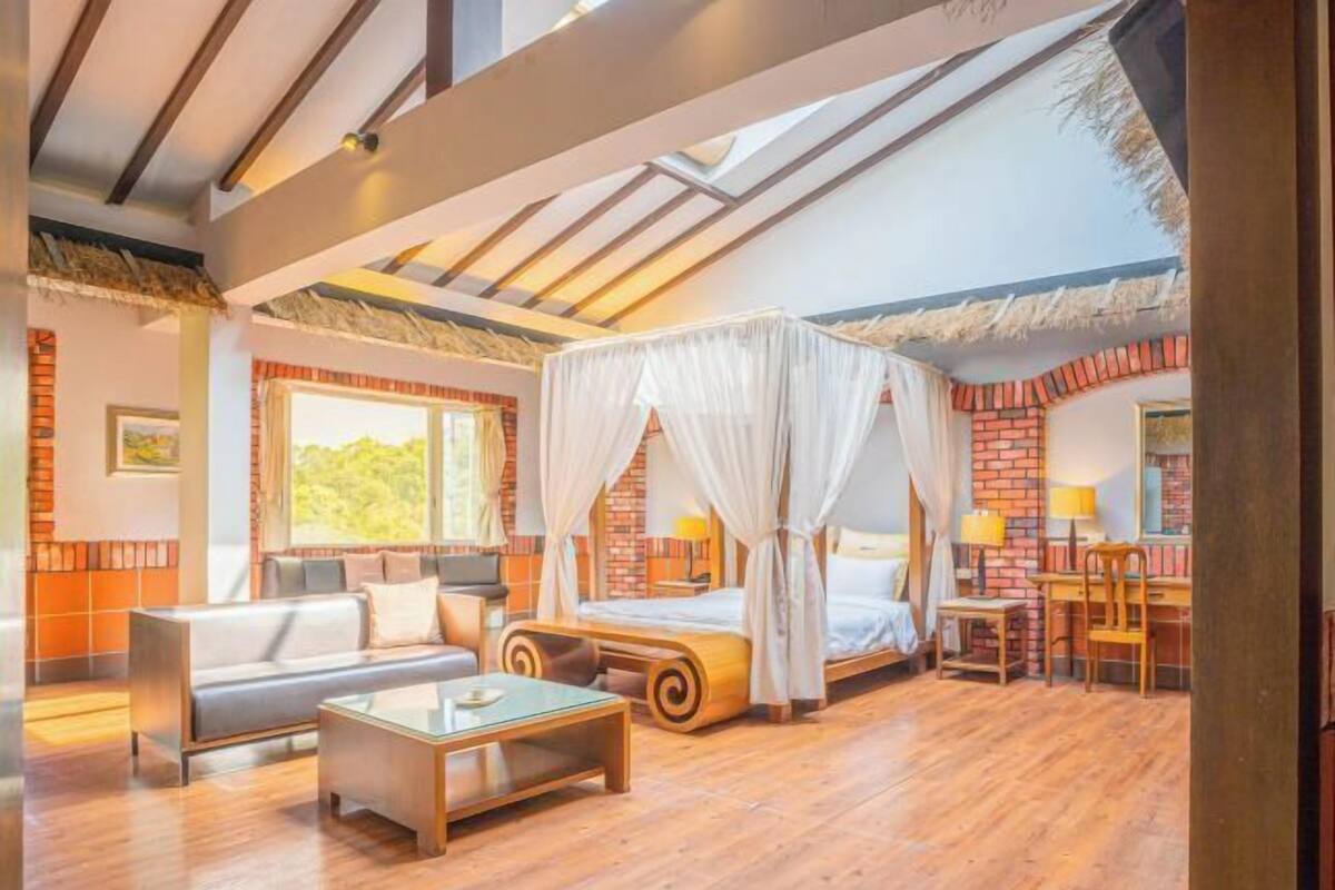 Roupas de cama premium, edredons de pluma, cortinas blackout