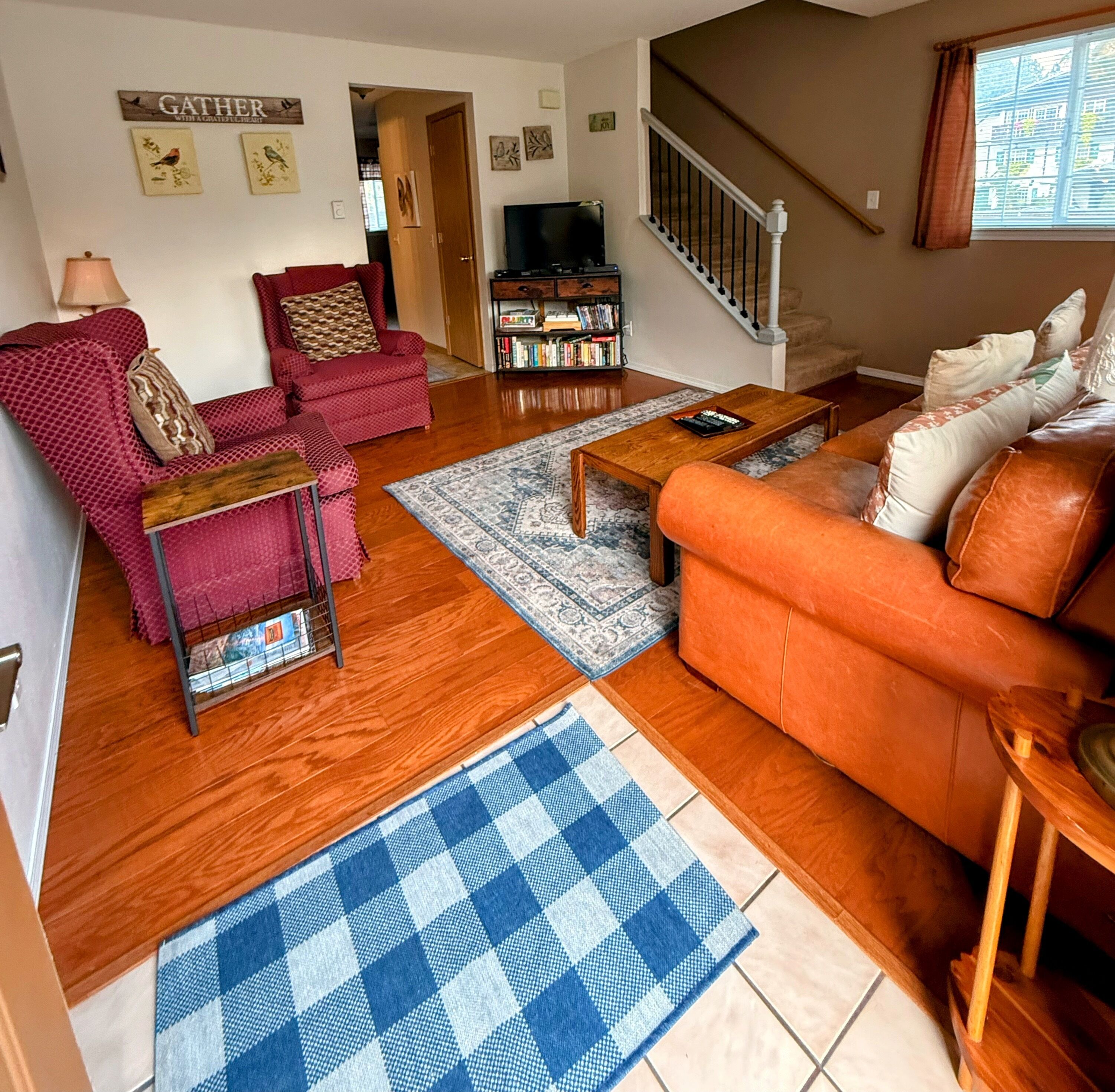 TV, DVD player, books, video library