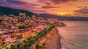Ubicación a pie de playa, tumbonas, toallas de playa y bar en la playa