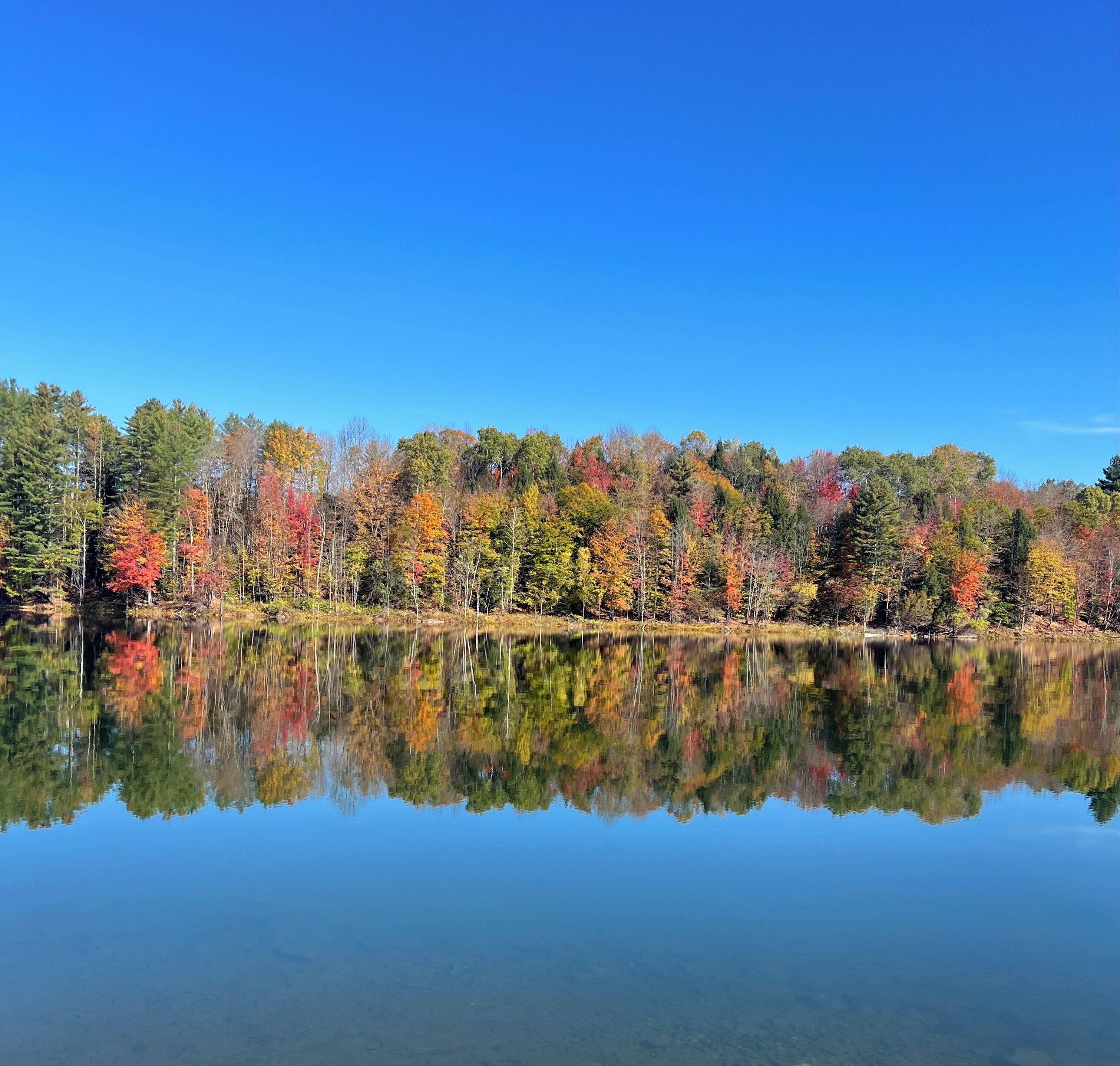 A calm lake reflecting a forest with autumn foliage.