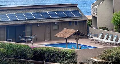 Oceanview Family Favorite! Whale Season Views! Beach, Pool, Hot Tub, AC!