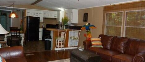 TV connectée, cheminée