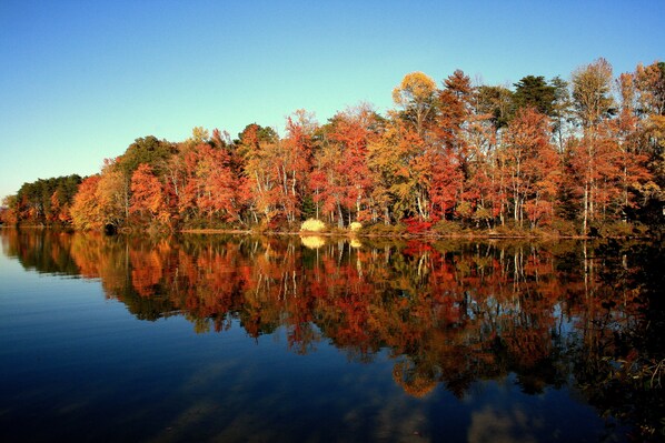 Lac