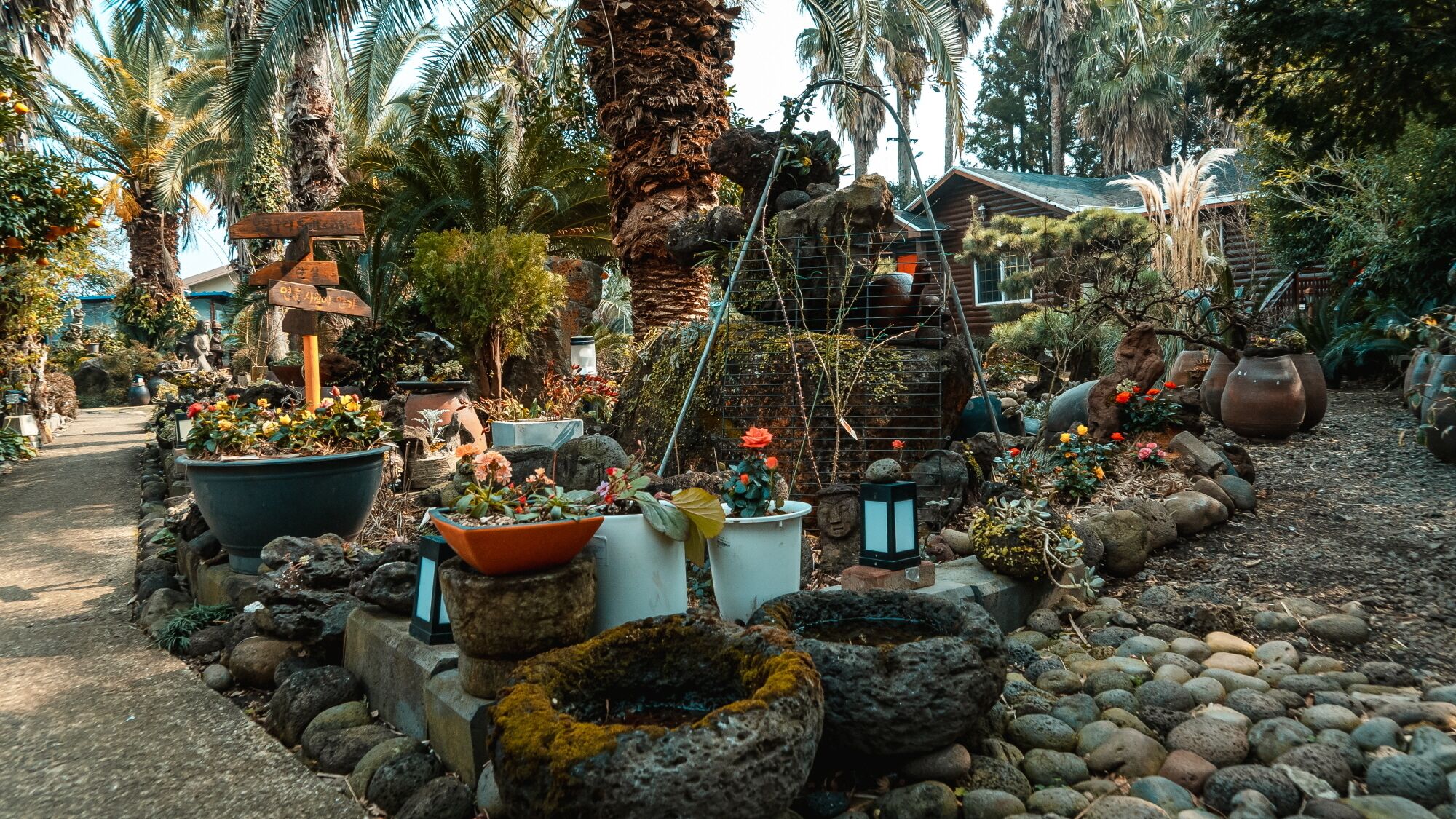 Un jardin agrémenté de diverses plantes en pot, de rochers et d’une structure en bois.