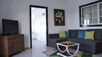 Televisión, chimenea y libros