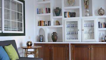 TV, fireplace, books