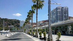 Eine Küstenpromenade mit Palmen, einem Yachthafen und modernen Gebäuden.
