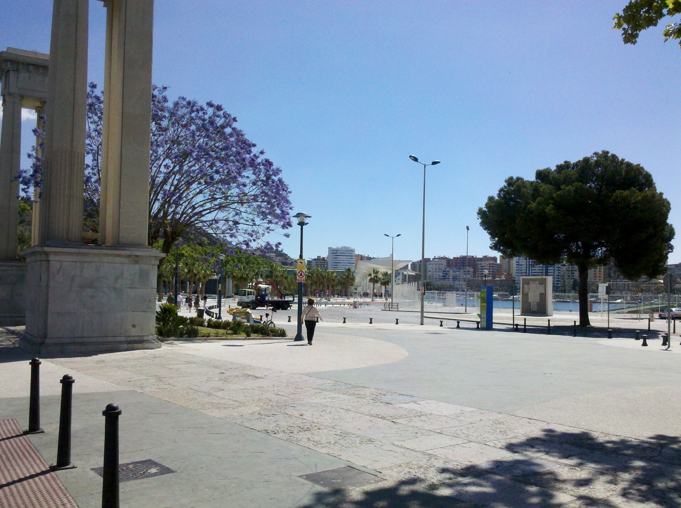 A public square with a large column structure, a tree with purple flowers, and a clear blue sky.