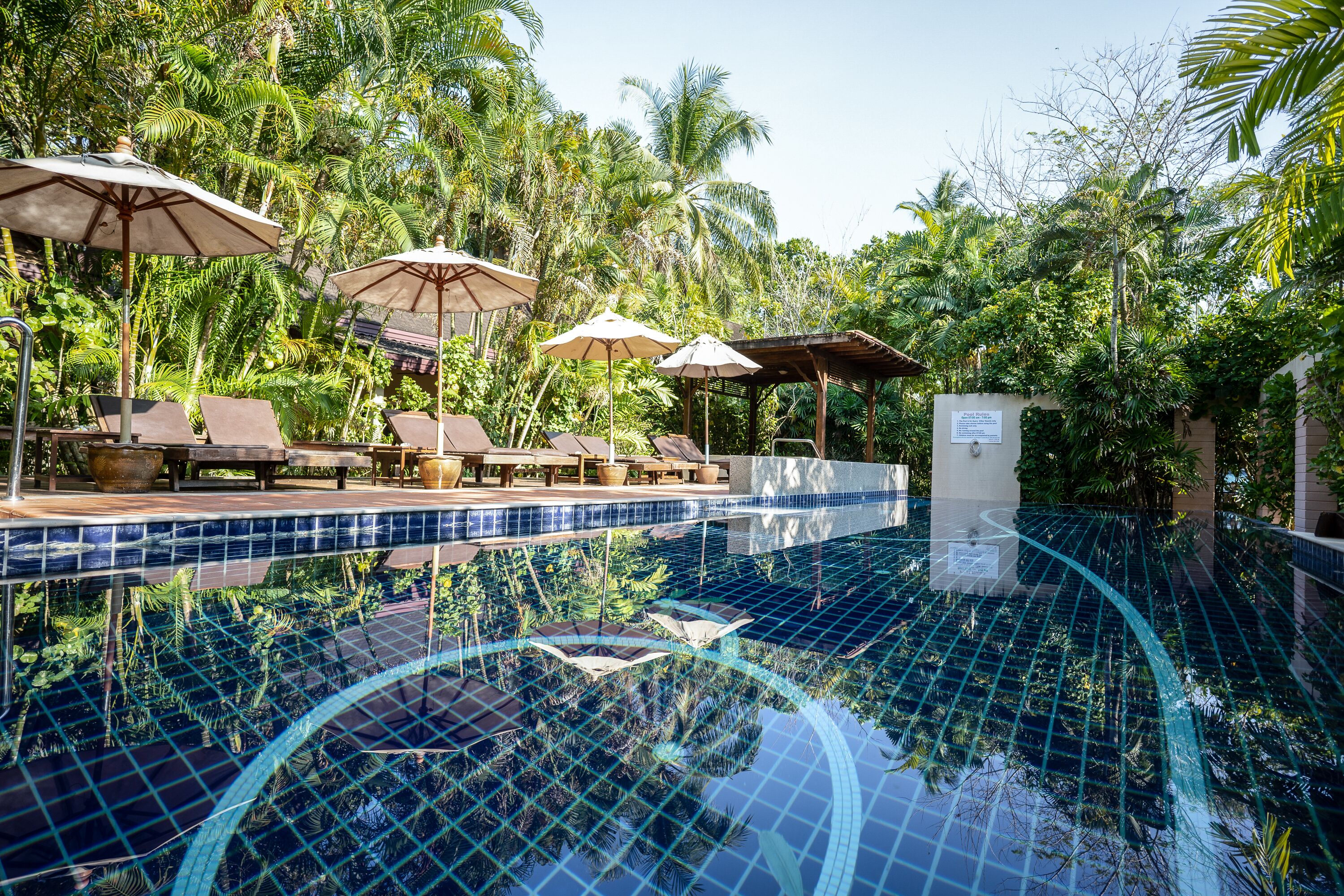 A swimming pool with lounge chairs and umbrellas, surrounded by lush greenery.