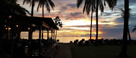 A beachside restaurant with outdoor seating overlooking the ocean, palm trees, and a sunset view.