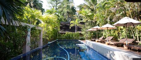Una piscina con sillas reclinables y sombrillas, rodeada de exuberante vegetación y palmeras.