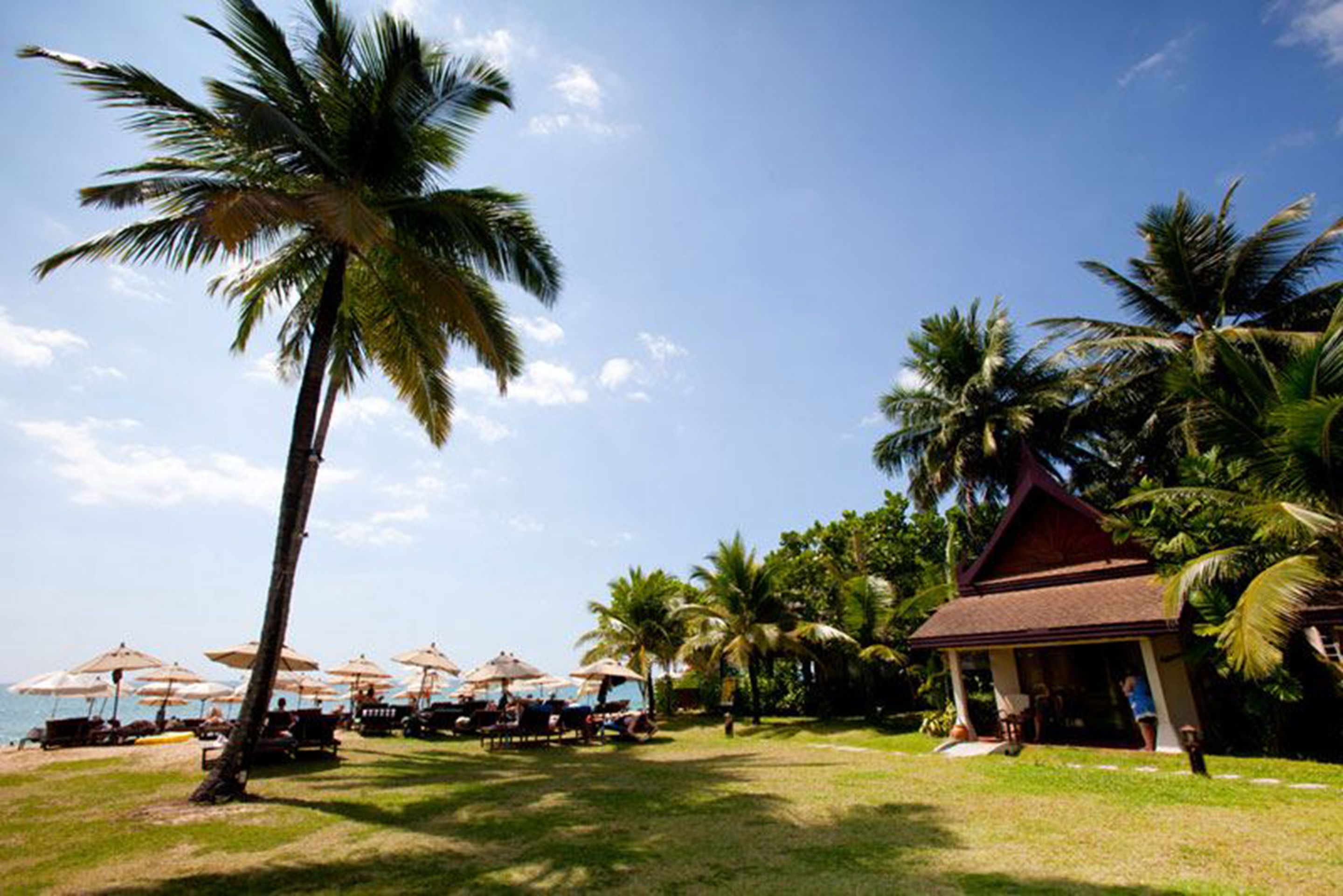 Un resort frente a la playa con palmeras, sombrillas de playa y un edificio con techo de paja.