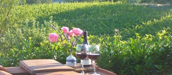 Tuscany, a medieval village with swimming pool and views of the castle of the Co