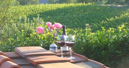 Tuscany, a medieval village with swimming pool and views of the castle of the Co