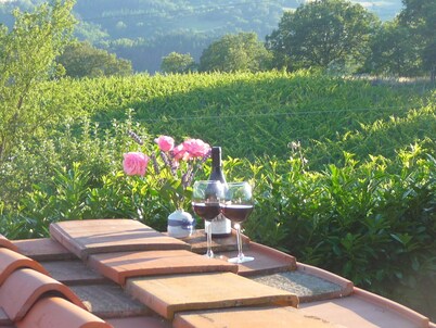 Tuscany, a medieval village with swimming pool and views of the castle of the Co