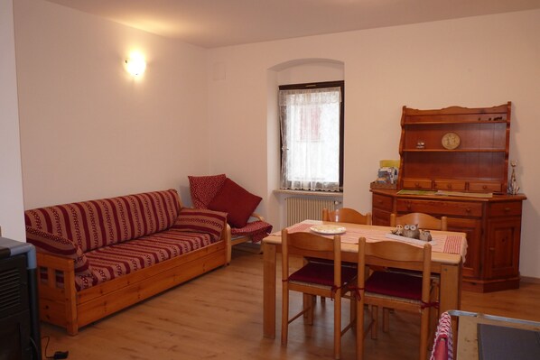 TV, fireplace, books