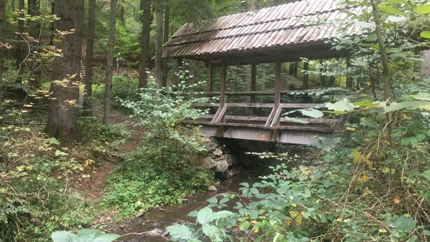 Eine rustikale Holzbrücke mit Metallüberdachung überspannt einen kleinen Bach in einem bewaldeten Gebiet.